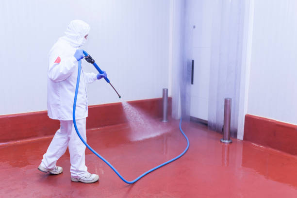 Best Roof Washing  in Holly Hill, FL