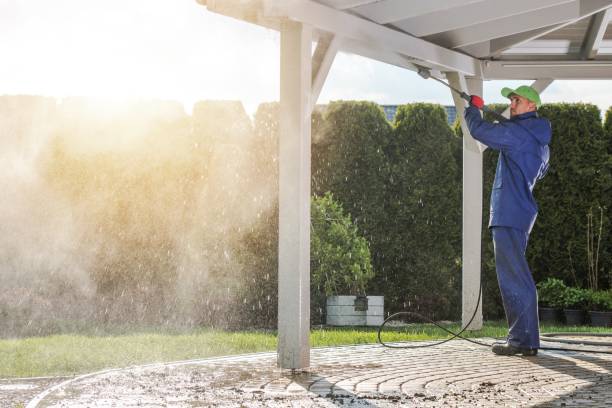 Best Rust Removal  in Holly Hill, FL