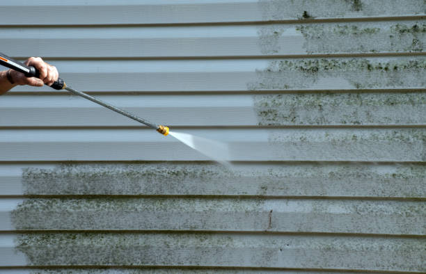 Best Fence Cleaning  in Holly Hill, FL
