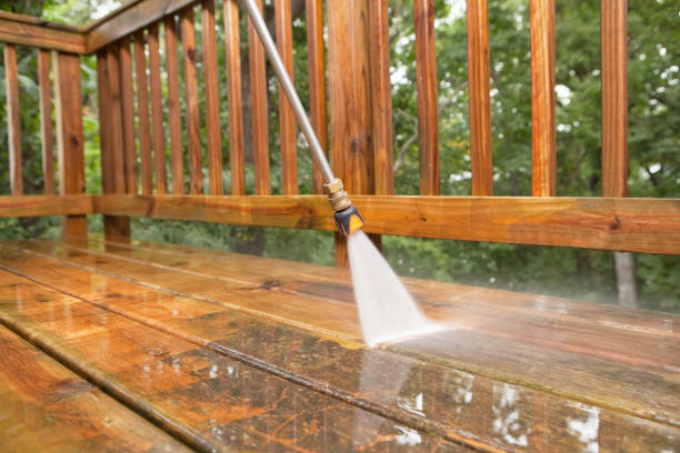 Best Dumpster Area Cleaning  in Holly Hill, FL